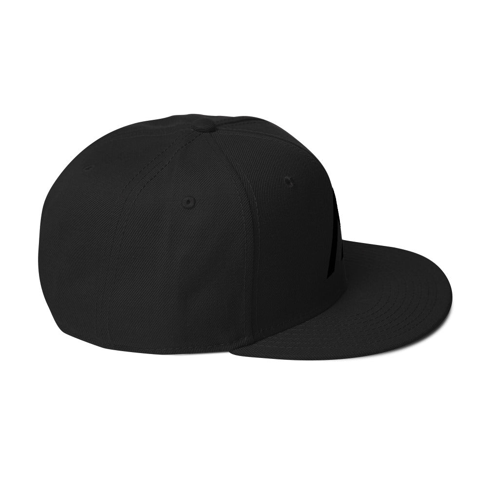 Black/Black Snap Back Hat