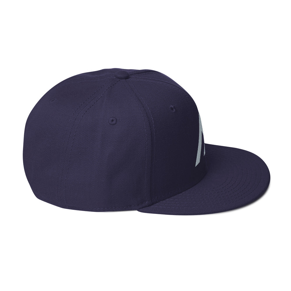 Navy/Gray Snap Back Hat