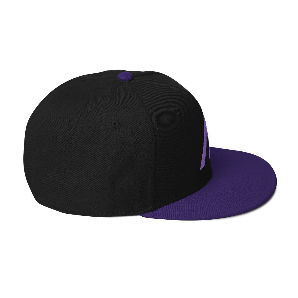 Purple/Black Snap Back Hat